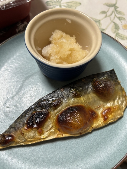 逆転の発想でついに到達！トースター焼き鯖の極意！！