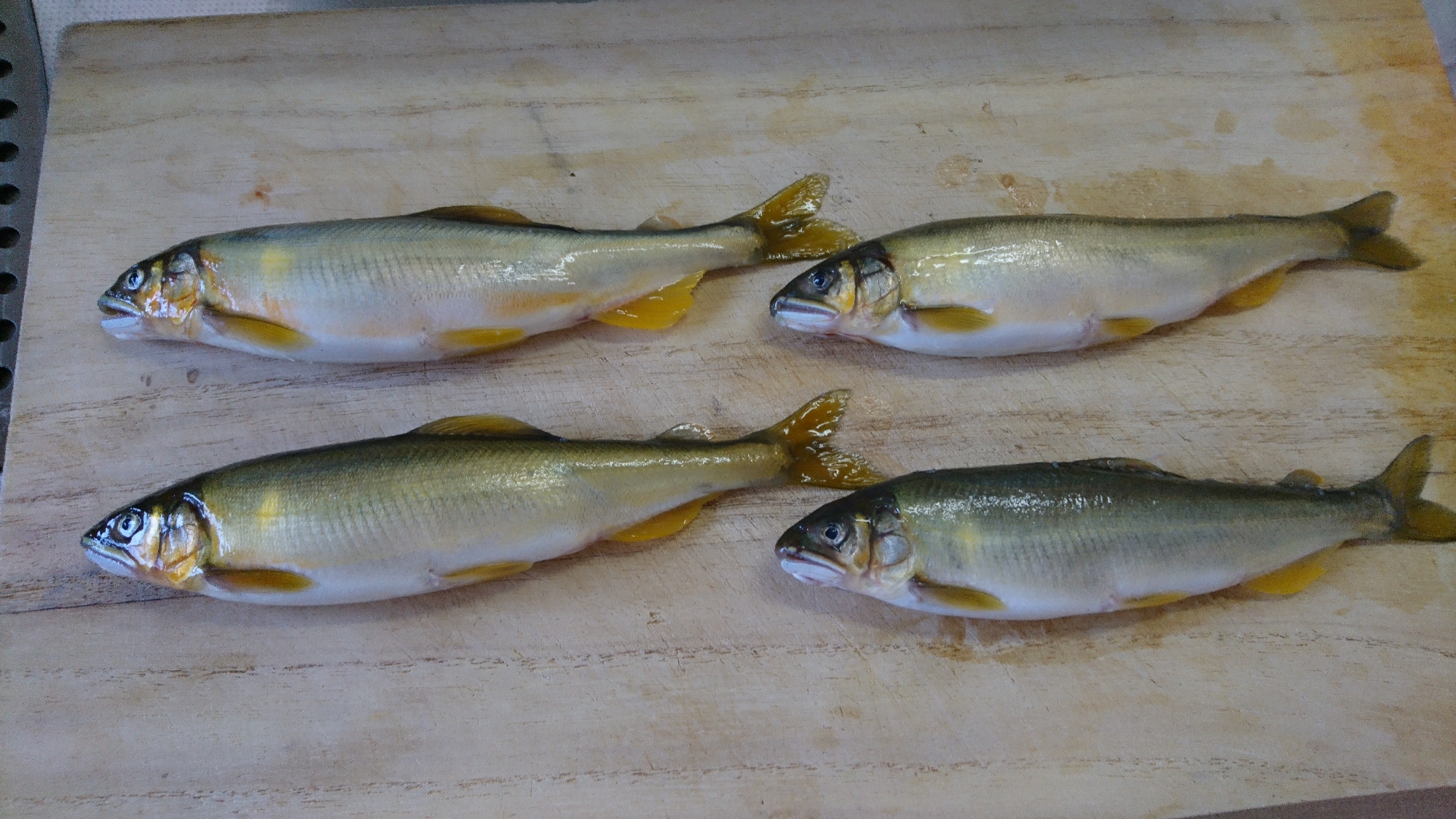 鮎の塩焼き 子持ち