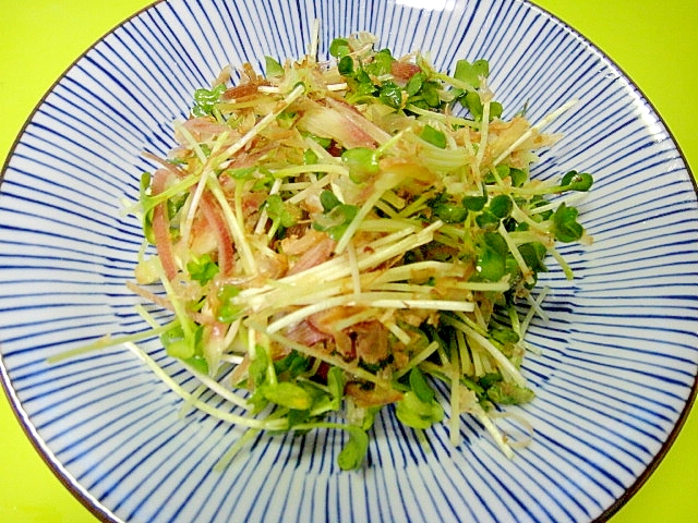 カイワレ大根とミョウガ生姜のおかかサラダ