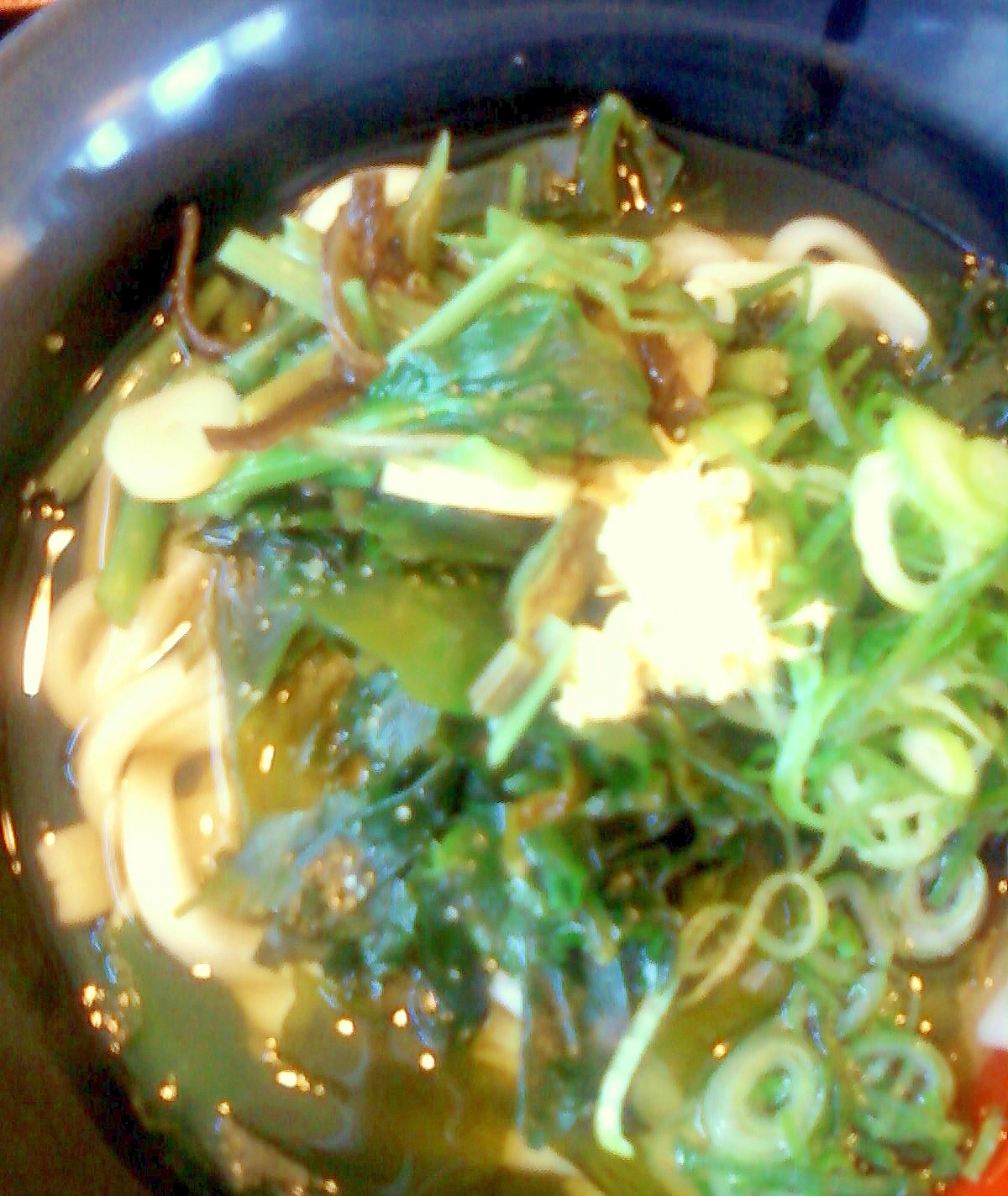 ☆・お手軽・簡単に★冷たいわかめ山菜うどん☆*:・