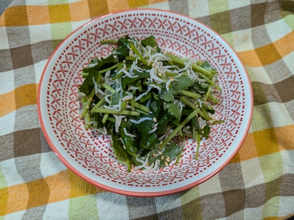 ラー油がアクセント♡三つ葉としらすのポン酢和え