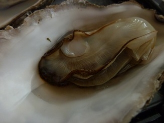 身が本当にぷっくりしていて美味しい！殻付き牡蠣はこの食べ方が一番だと感じました。