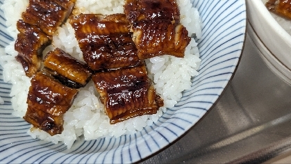 土用丑の日のうなぎ丼