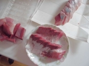 ワラサのお刺身 ねぎ塩だれで レシピ 作り方 By V るん 0394 楽天レシピ ワラサのお刺身 ねぎ塩だれで レシピ 作り方 By V るん 0394 楽天レシピ