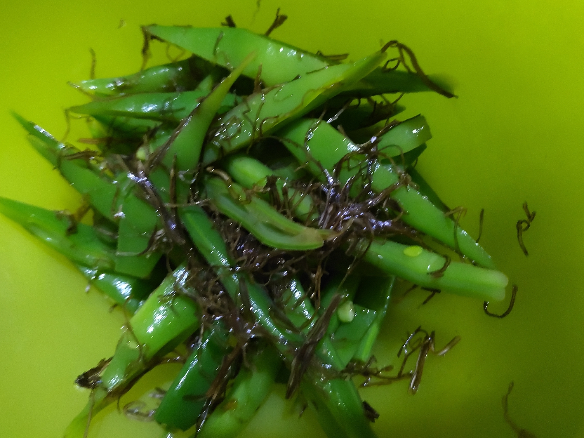 モロッコ豆の糸昆布和え( ꈍᴗꈍ)