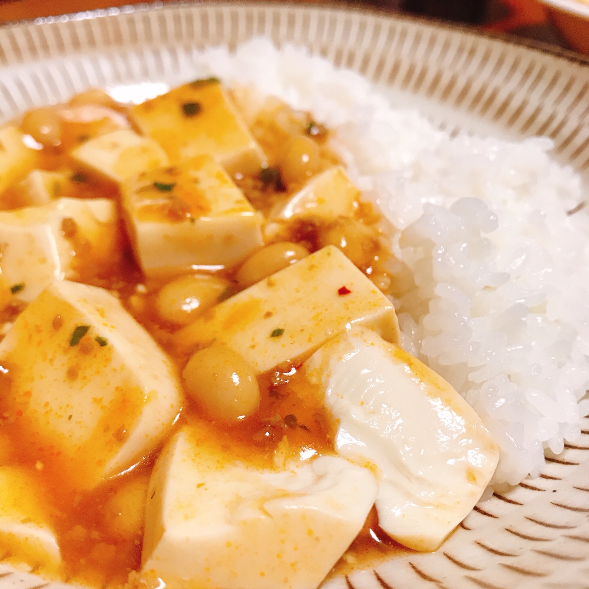 【簡単・時短】カロリーオフ生姜香る大豆の麻婆丼