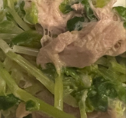 簡単！副菜！豆苗とツナの和風マヨ和え〜