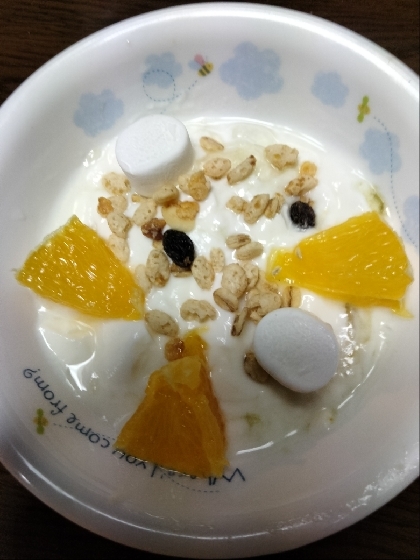 グラノーラヨーグルトⅢ