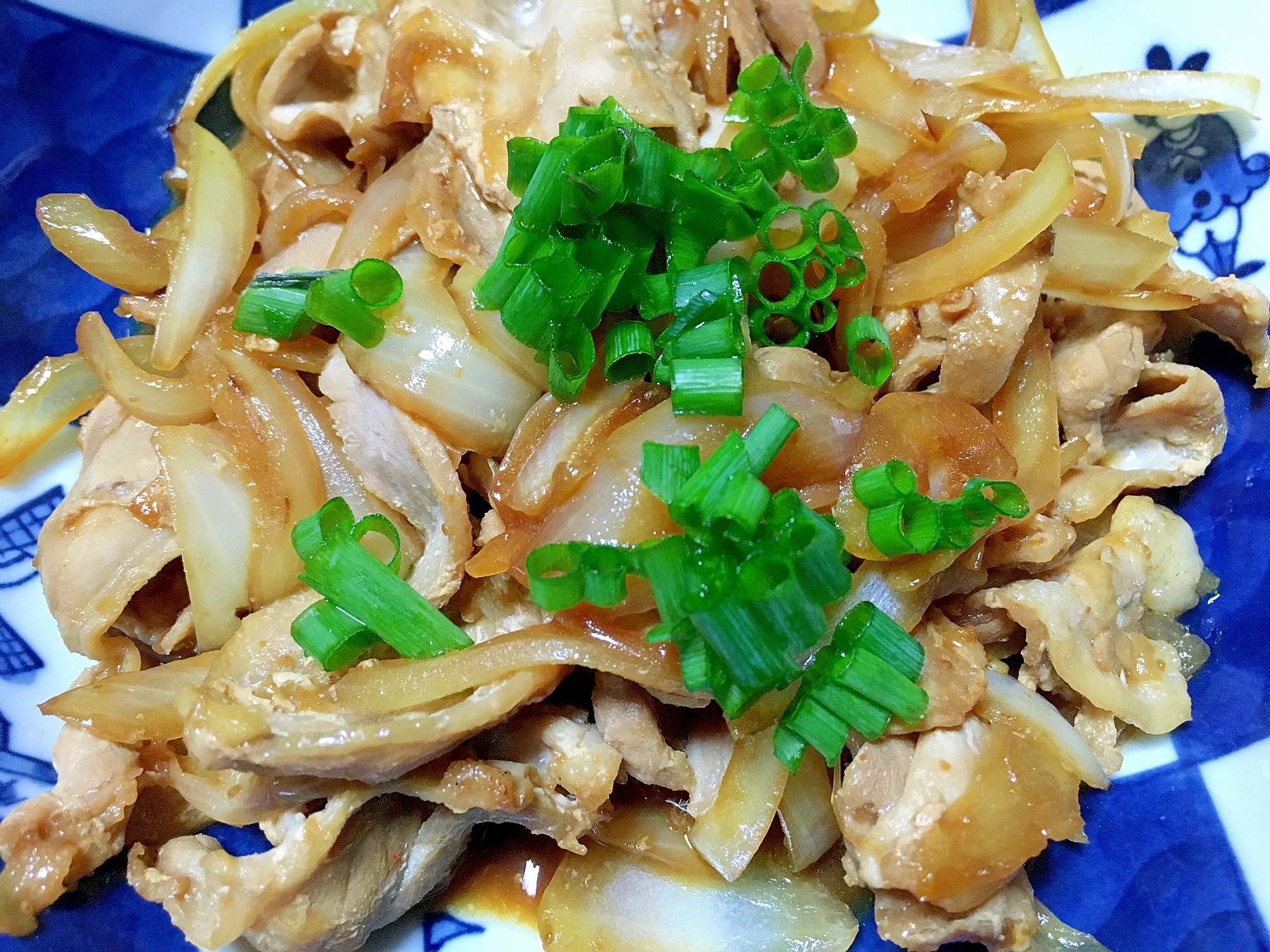 鴨肉と玉ねぎの炒め物