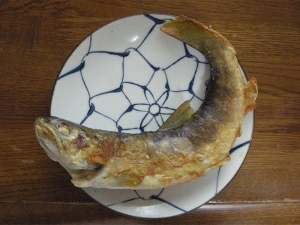 激レア!!ゴギの塩焼き