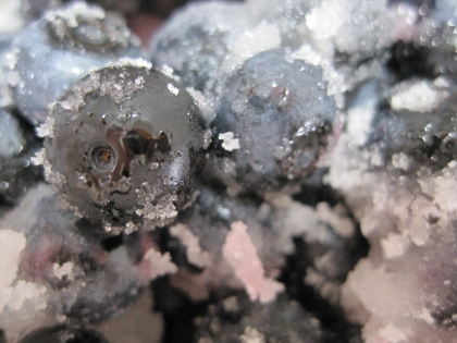 ブルーベリーのシロップ漬け レシピ 作り方 By 羽p 楽天レシピ ブルーベリーのシロップ漬け レシピ 作り方 By 羽p 楽天レシピ