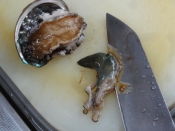 アワビの下拵え 活きアワビの踊り焼き レシピ 作り方 By Startrek 楽天レシピ