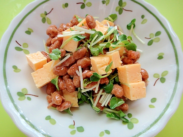 厚焼き玉子とカイワレ大根のわさび納豆