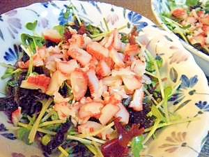海藻と貝割れのサラダ