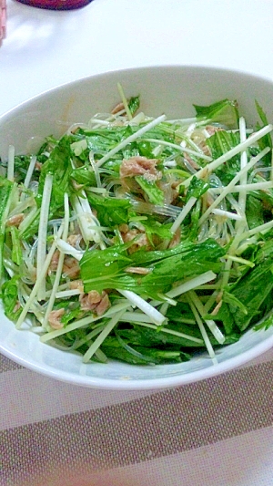 簡単サラダ　おつまみ☆ツナと水菜の春雨サラダ