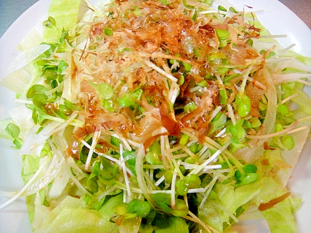 新玉ねぎとカイワレ大根のサラダ レシピ 作り方 By Mint74 楽天レシピ