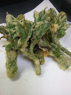 ウドの葉レシピ 作り方の人気順 簡単料理の楽天レシピ