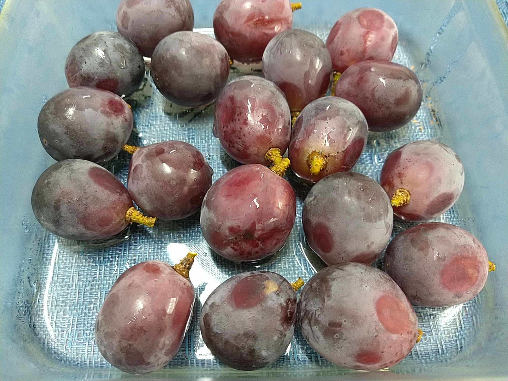 簡単便利!大粒ぶどうの保存方法
