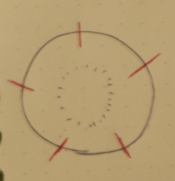 抜き型なしでお花型にんじん レシピ 作り方 By Nyatz 楽天レシピ 抜き型なしでお花型にんじん レシピ 作り方 By Nyatz 楽天レシピ