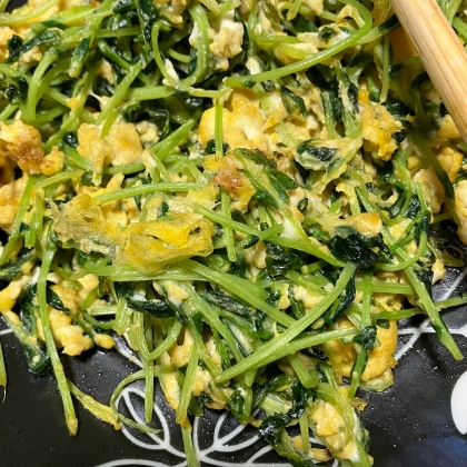 豆苗と卵のオイスターソース炒め