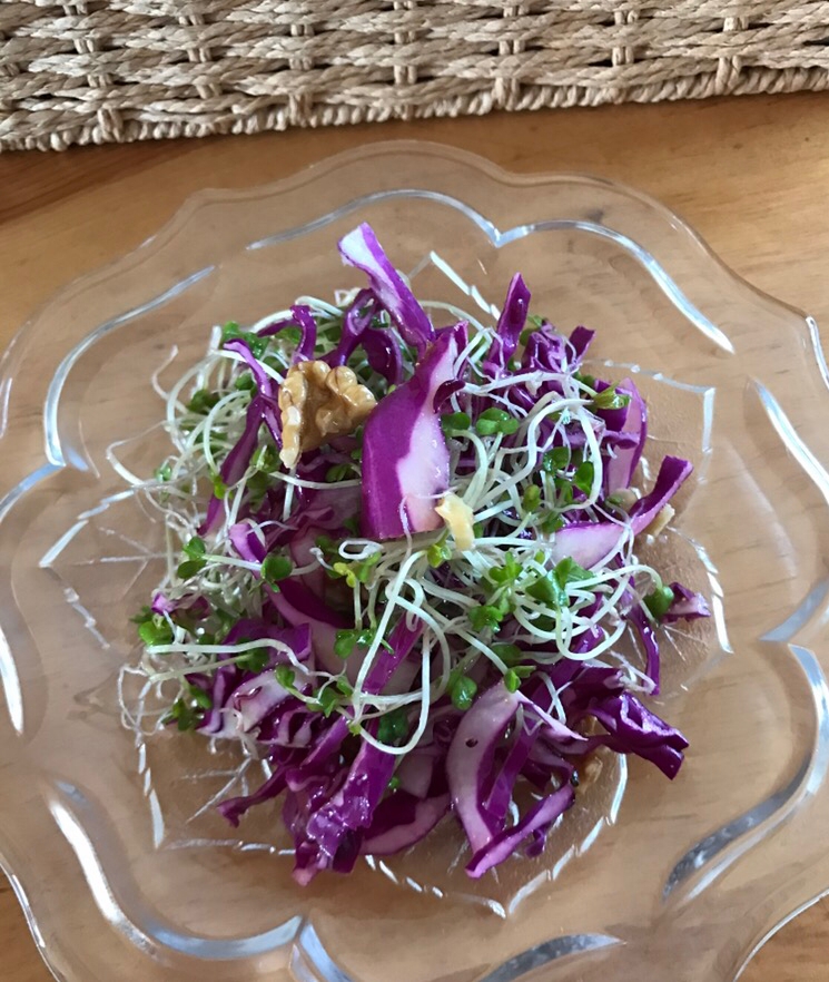 紫キャベツとスプラウト、胡桃のサラダ