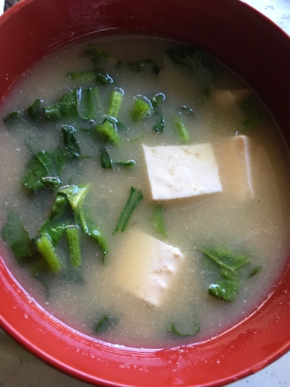 我が家の味噌汁★豆腐とほうれん草