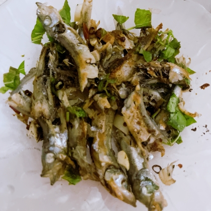 オリーブオイル、ケチってしまいましたが、ニンニク風味が美味しい……