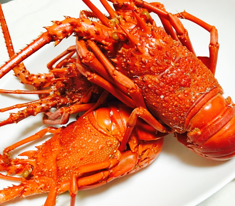 一番美味しい食べ方 茹で伊勢海老 レシピ 作り方 By Kuuuma 楽天レシピ 一番美味しい食べ方 茹で伊勢海老 レシピ 作り方 By Kuuuma 楽天レシピ