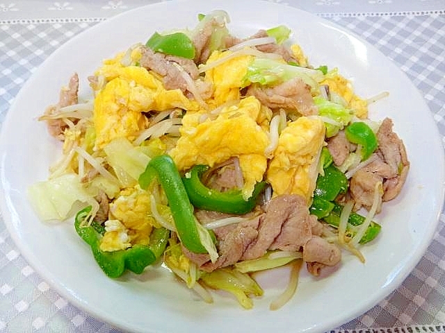 卵入り☆肉野菜炒め