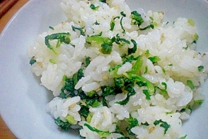 大根間引き菜レシピ 作り方の人気順 簡単料理の楽天レシピ