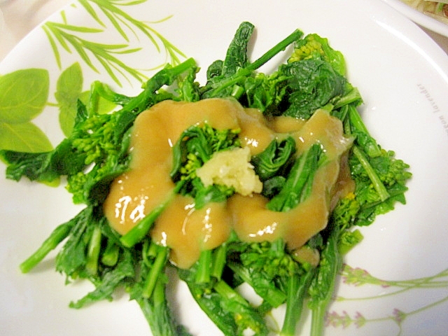 菜の花の酢味噌和えもの レシピ 作り方 By わんちゃん102 楽天レシピ 菜の花の酢味噌和えもの レシピ 作り方 By わんちゃん102 楽天レシピ