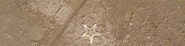 tonatomo