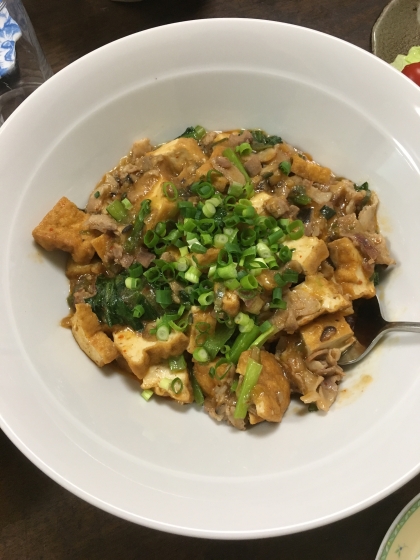 子供も食べやすい☆厚揚げ麻婆豆腐