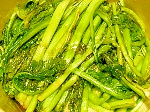 青菜漬風 野沢菜漬け レシピ 作り方 By ブルーボリジ 楽天レシピ 青菜漬風 野沢菜漬け レシピ 作り方 By ブルーボリジ 楽天レシピ
