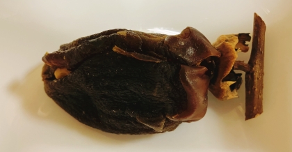 クリームチーズ入り 干し柿