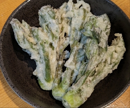 タラの芽の天ぷら