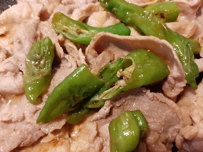 ししとうを使ったお料理がわからず、初めて作ってみました。ピリ辛でご飯がすすみますね。