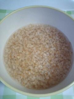 玄米がゆ ~ステンレスボトル編~