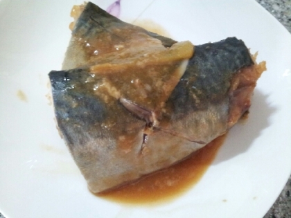 塩鯖でこんなに簡単に味噌煮ができるんですね。╭(UˇωˇU)╮ 美味しくいただきました。