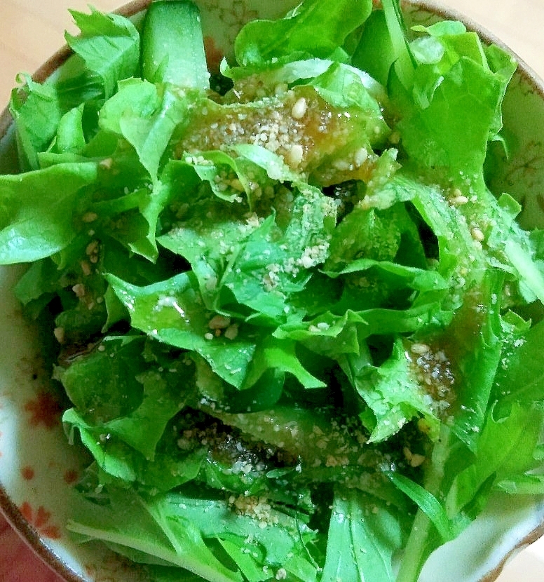きゅうり☆水菜☆レタスサラダ