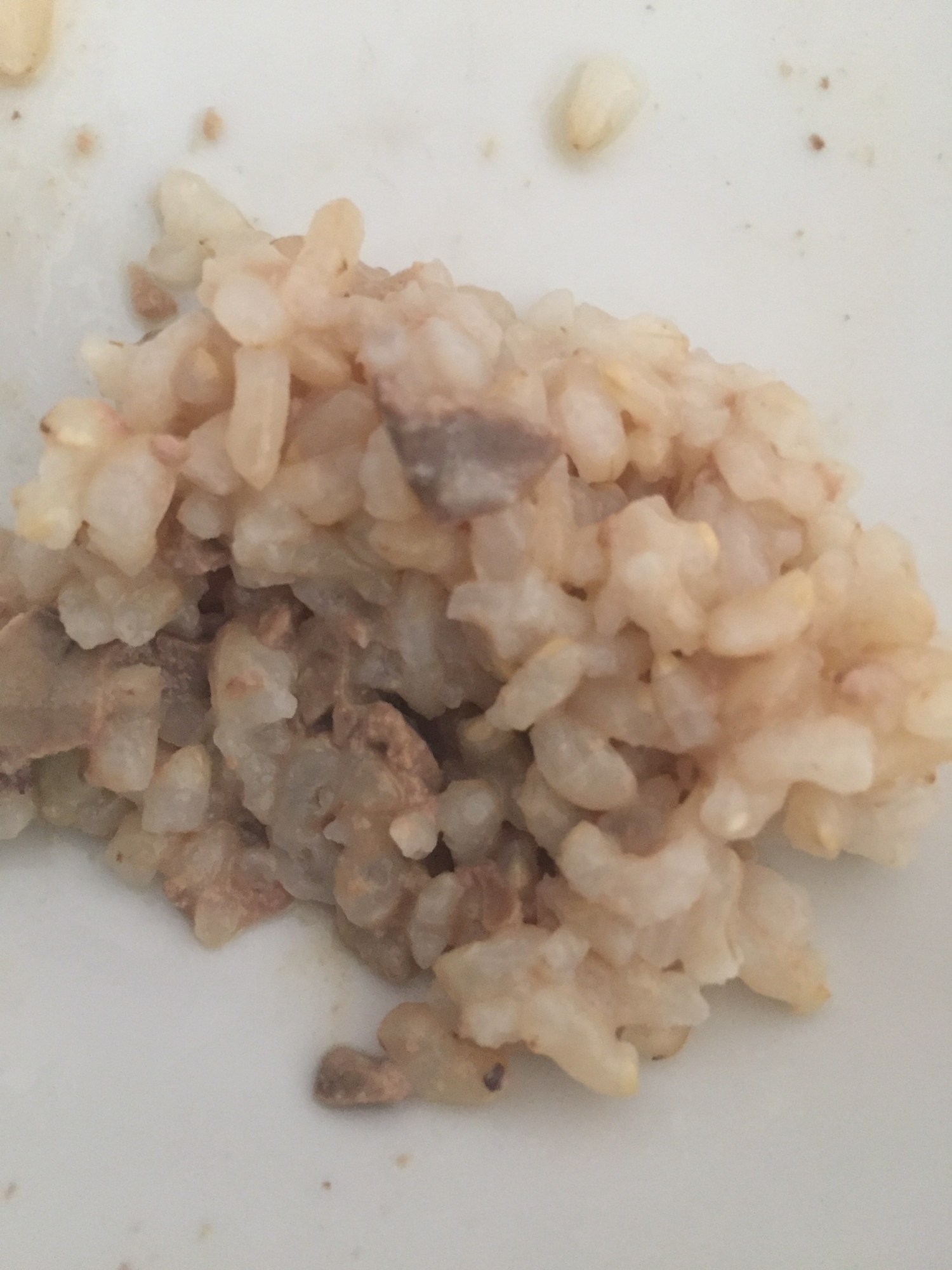 離乳食に!柔らかレバーいりの混ぜご飯!