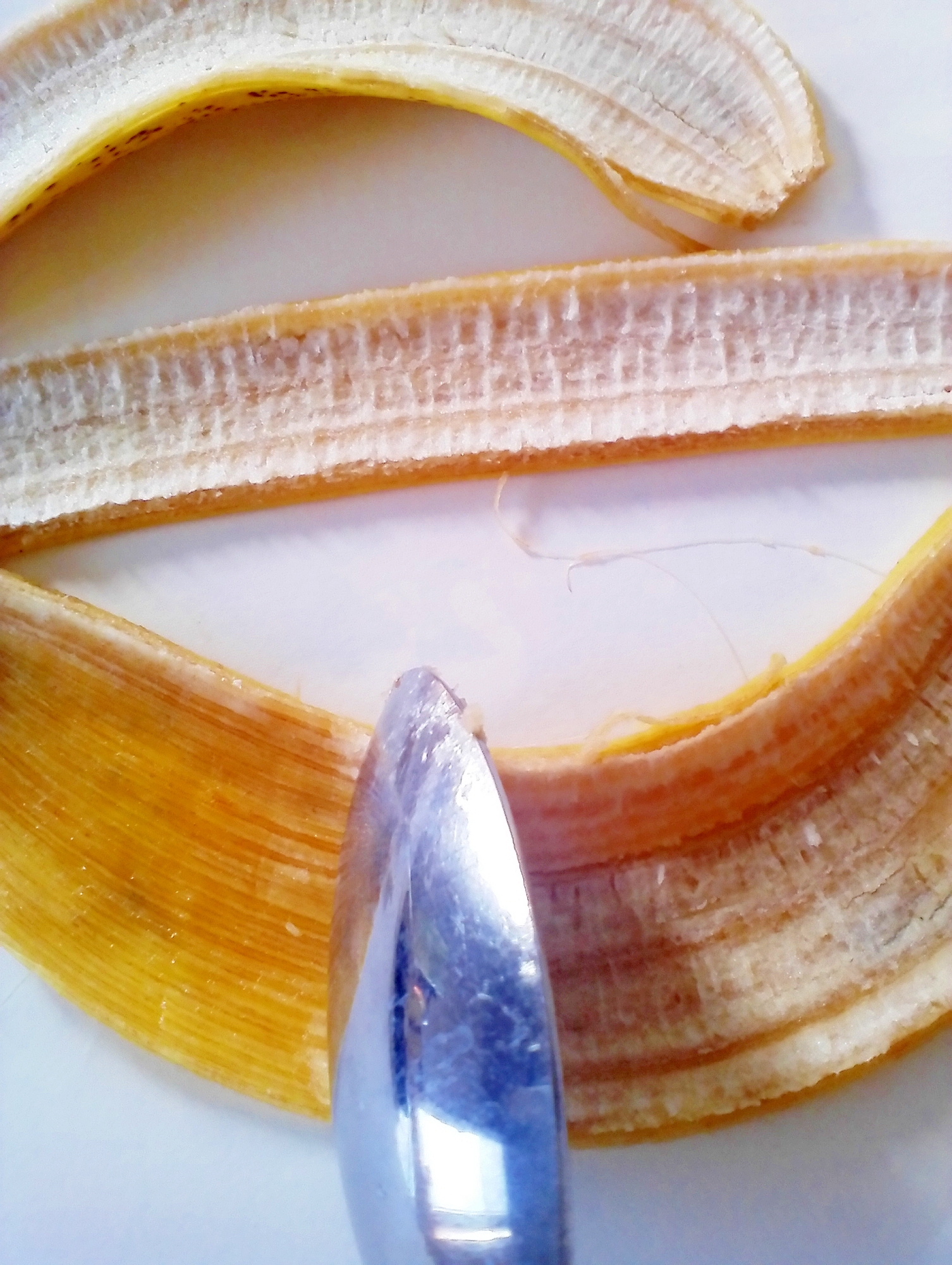 スムージーには バナナの白いすじも レシピ 作り方 By レオルナ 楽天レシピ スムージーには バナナの白いすじも レシピ 作り方 By レオルナ 楽天レシピ