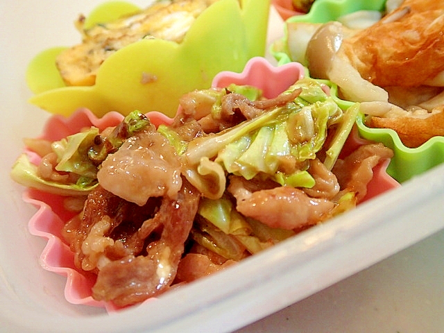 お弁当　豚肉とキャベツのプルコギマヨ・生姜炒め