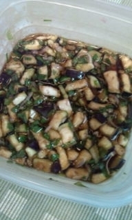 夏野菜たっぷり！だし