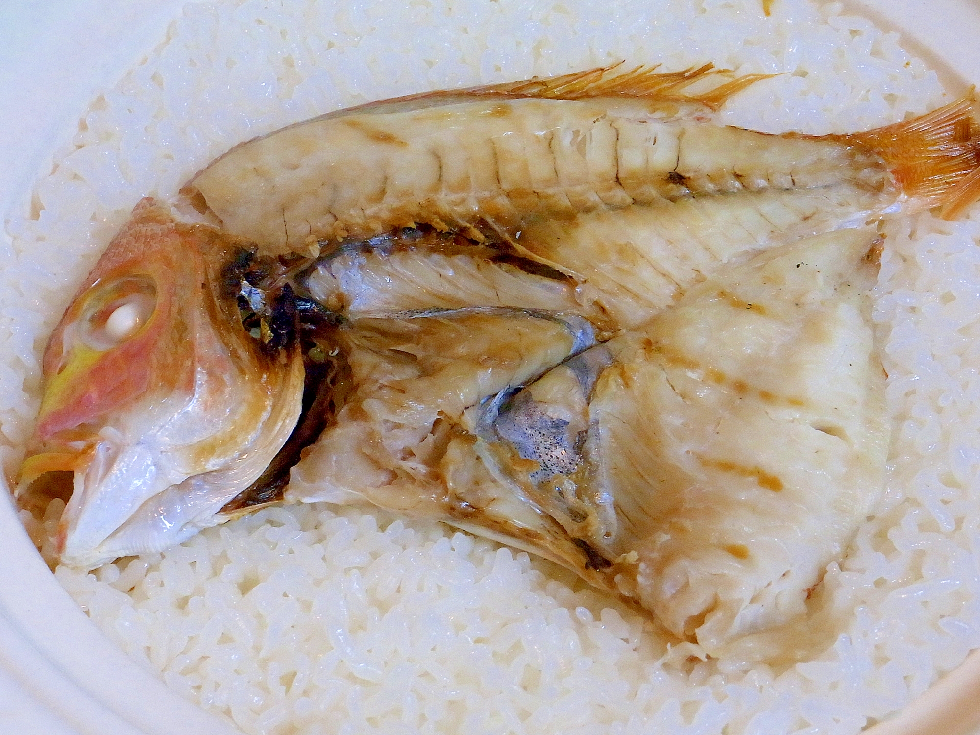 土鍋ごはん♪身ふっくらな連子鯛の鯛飯