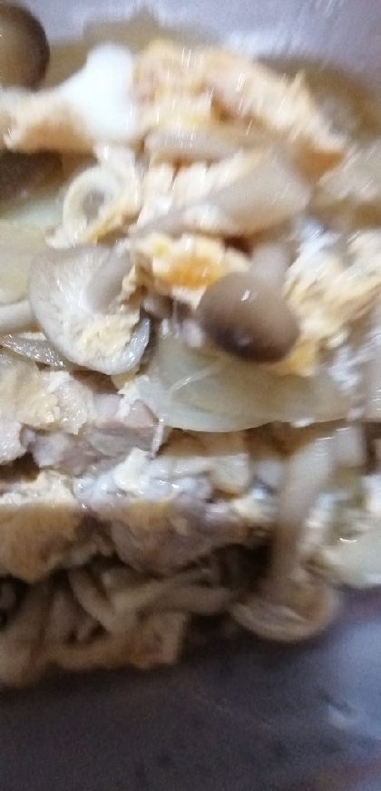 汁多め親子丼