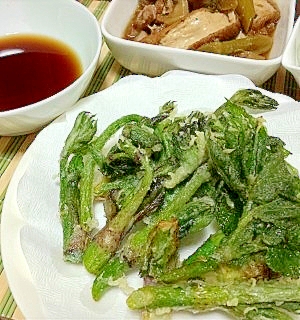 山うどの一番簡単で一番おいしい食べ方エヘン レシピ 作り方 By Johnny Bean 楽天レシピ