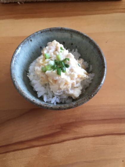 超簡単うま～♪なんちゃって雷豆腐丼