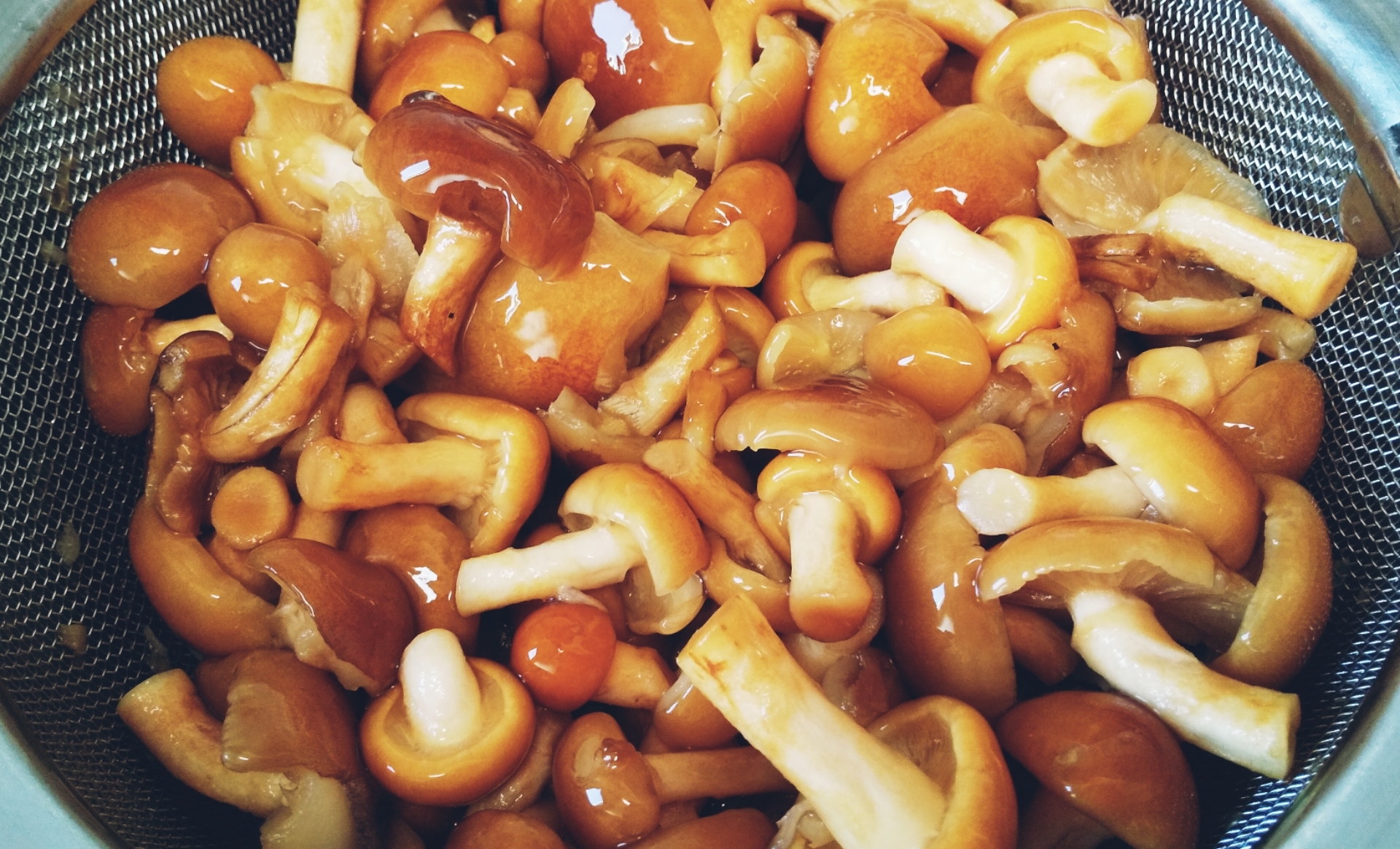 天然なめこの下処理方法♪