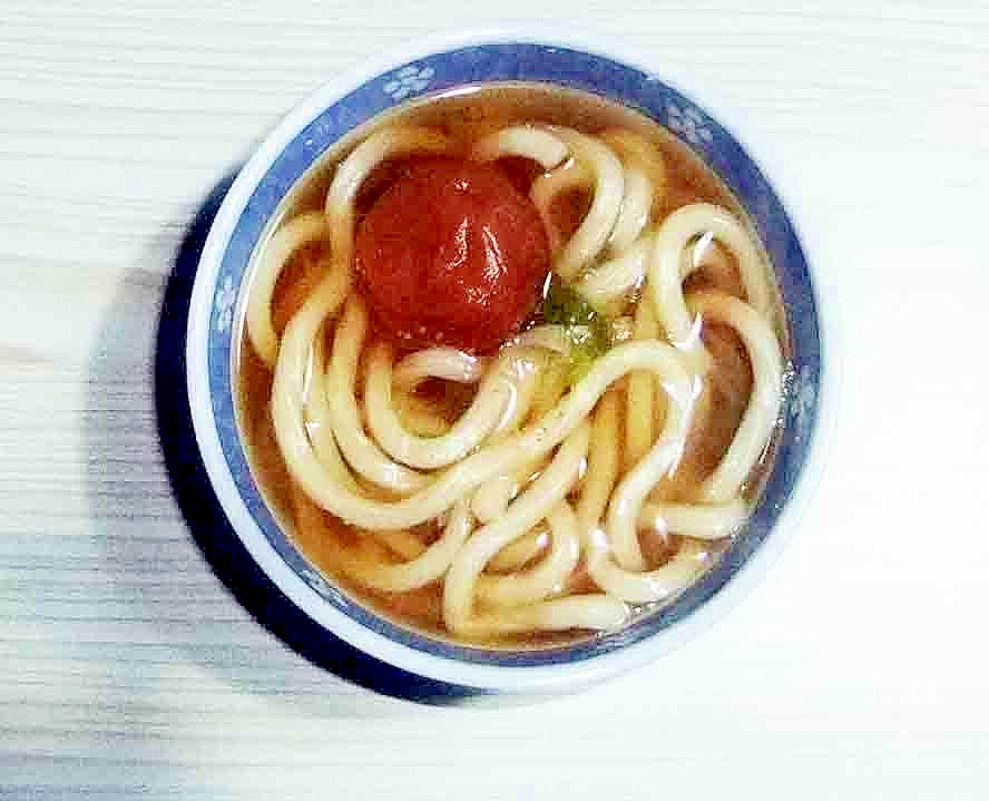 梅干しとネギのうどん